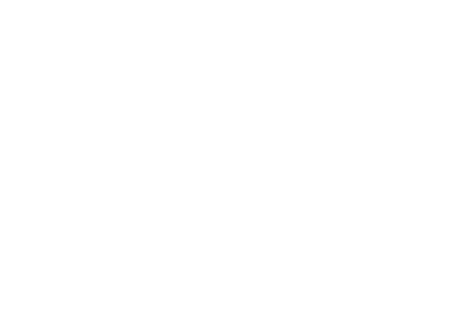 Para Maria logo — trusted partner of LMTLSS Media