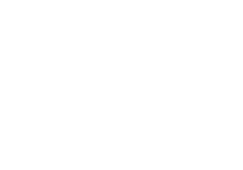 US Air Force logo — trusted partner of LMTLSS Media