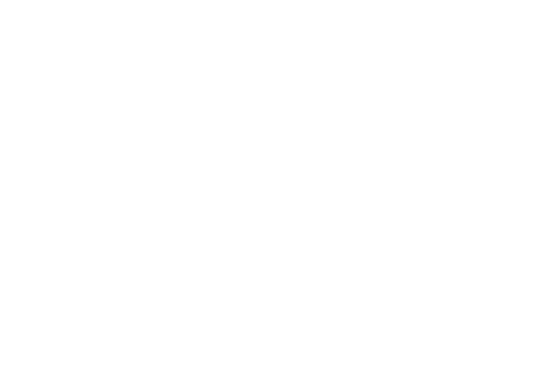 Spartan Nutrition Logo