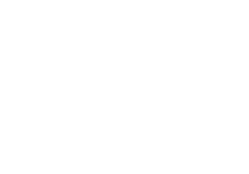 Web Industries Logo
